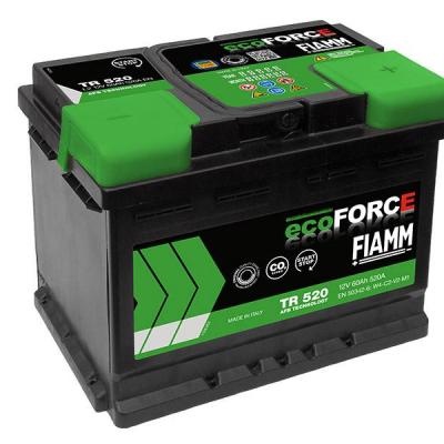 Batterie ECO FORCE EFB
