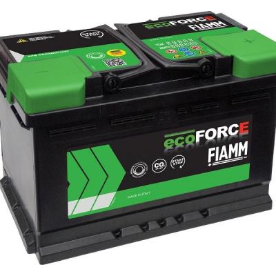 Batterie ECO FORCE EFB